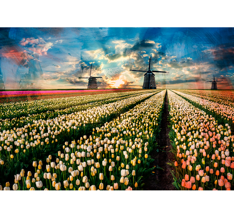 Fototapete Blumen sonnenaufgang im tulpenfeld - TenStickers