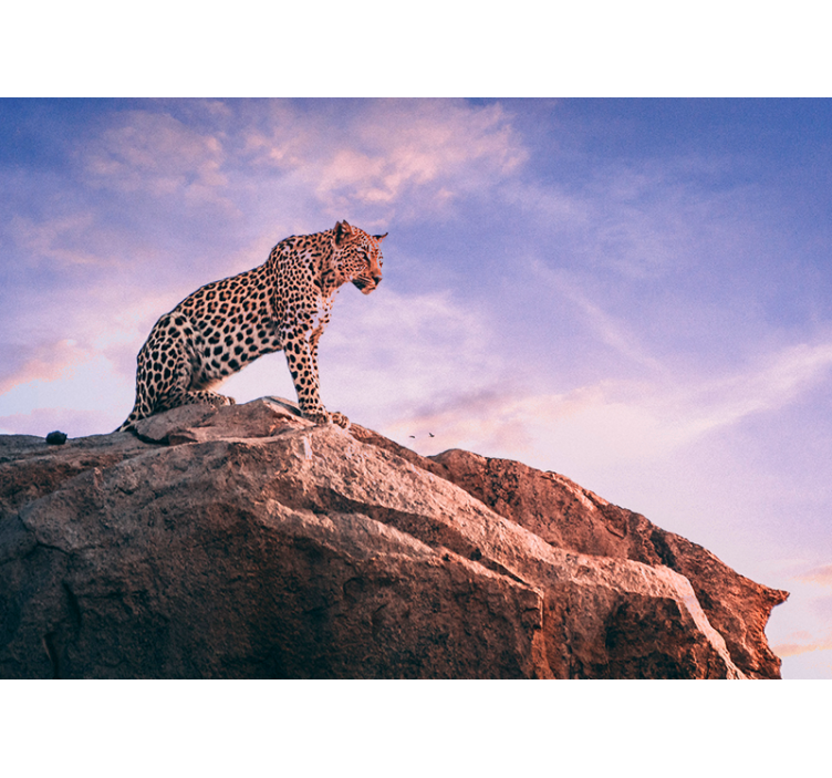 Fototapete Tiere leopard auf felsen - TenStickers