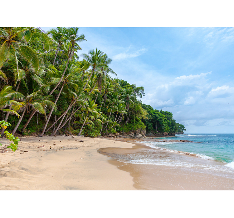 Fototapete natur tropische küstenoase - TenStickers