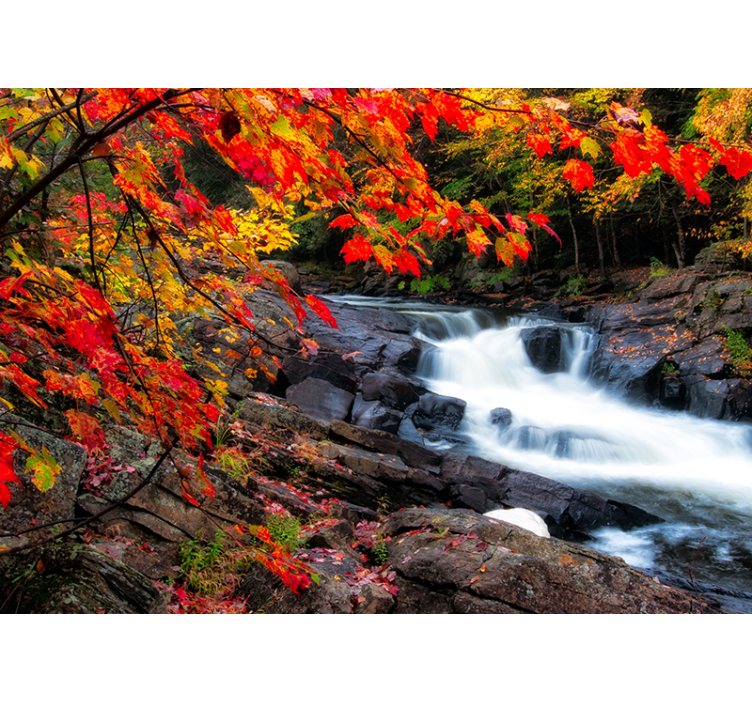 Tapete wald herbst wasserfall landschaft - TenStickers