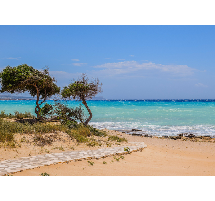 Fototapete Meer heitere szene weg - TenStickers