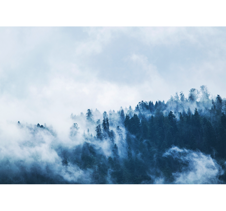 Fototapete natur nebelwald landschaft - TenStickers