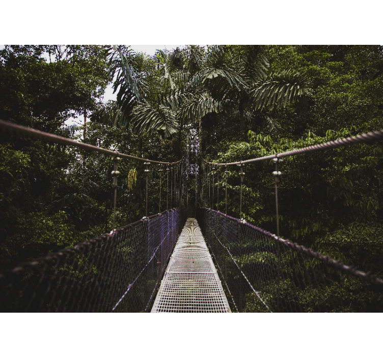 Fototapete Natur hängebrücken-abenteuer - TenStickers