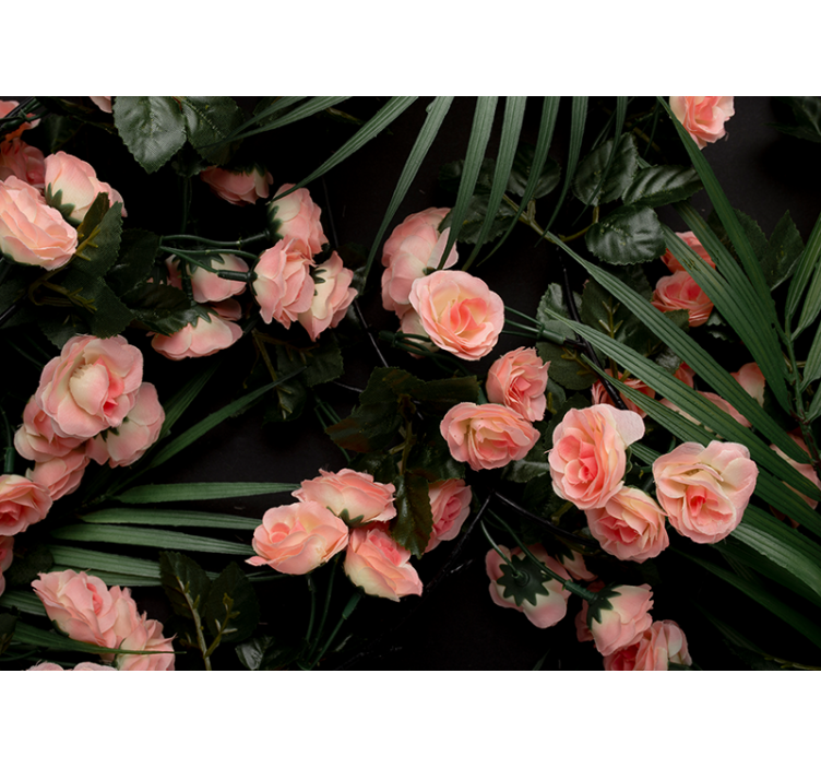 Fototapete blumen zarte rosa rosen - TenStickers