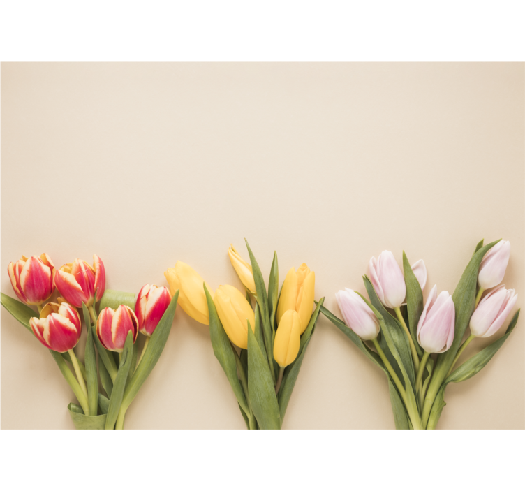 Fototapete blumen buntes tulpenarrangement - TenStickers