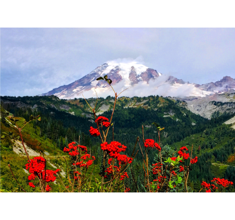 Fototapete landschaft mit schneebedecktem berg - TenStickers