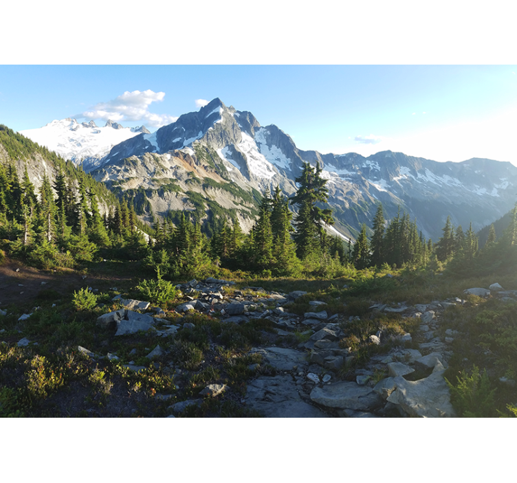 Fototapete landschaft bergwaldansicht - TenStickers