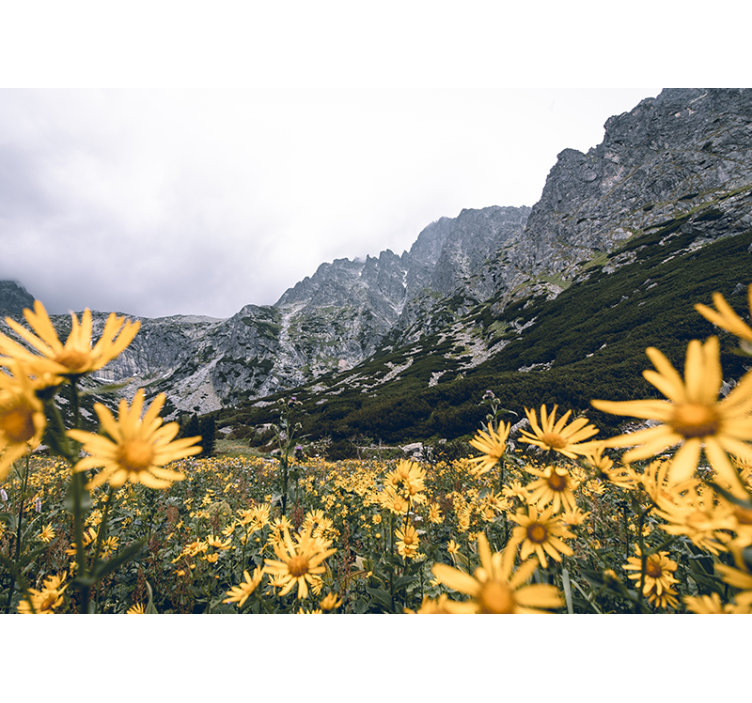 Fototapete blumen gelbes blumenmeer - TenStickers