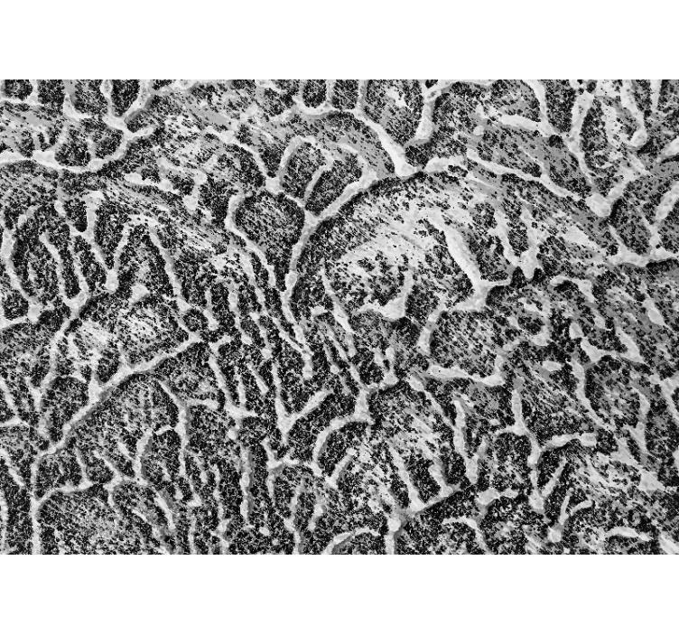 Fototapete muster organisches texturmuster - TenStickers