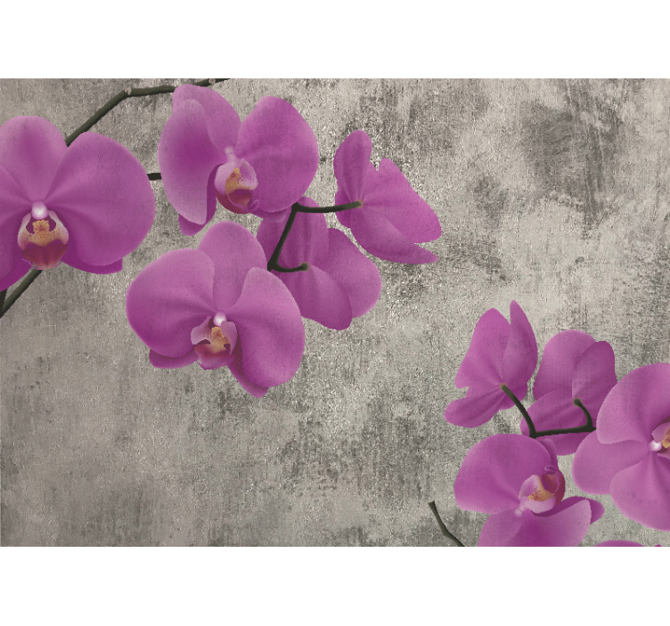 Fototapete blumen rose orchideenblüten - TenStickers