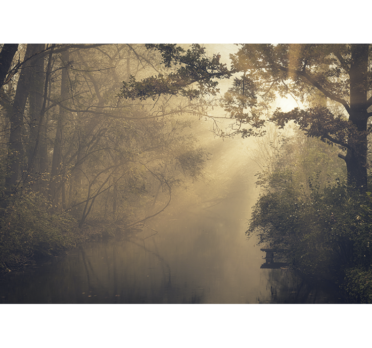 Fototapete natur leuchtende waldlandschaft - TenStickers