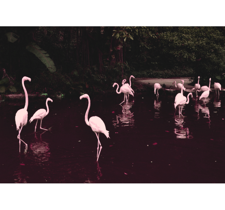 Fototapete home office elegante flamingos versammlung - TenStickers