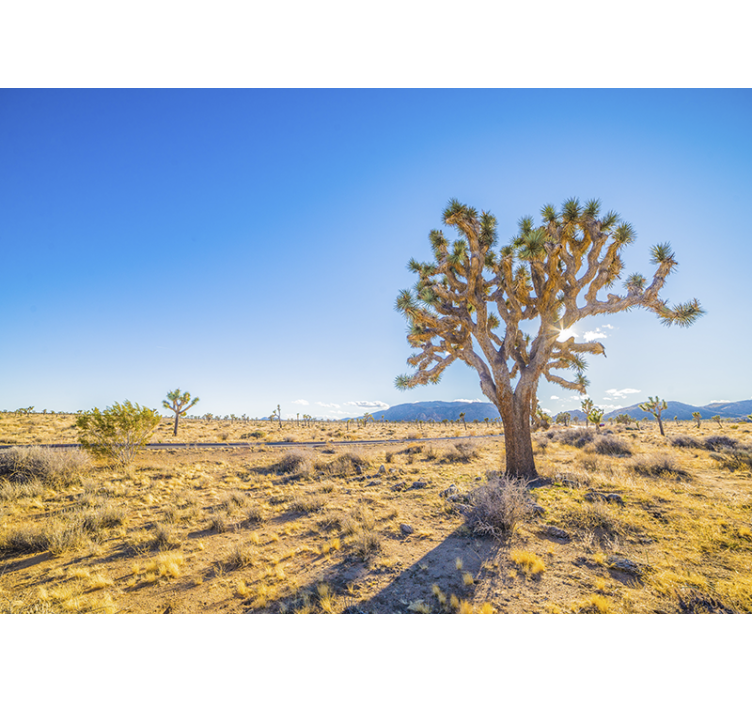 Fototapete berge joshua tree landschaft - TenStickers