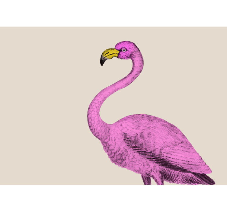 Fototapete tiere pink flamingo eleganz - TenStickers