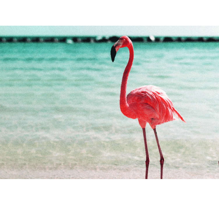 Fototapete tiere elegante flamingo-pose - TenStickers