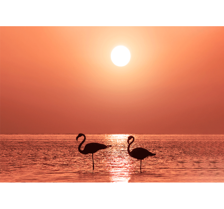 Fototapete tiere flamingo sonnenuntergang szene - TenStickers