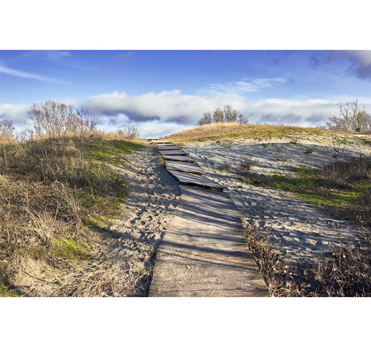 Fototapete landschaft holzweg landschaft - TenStickers