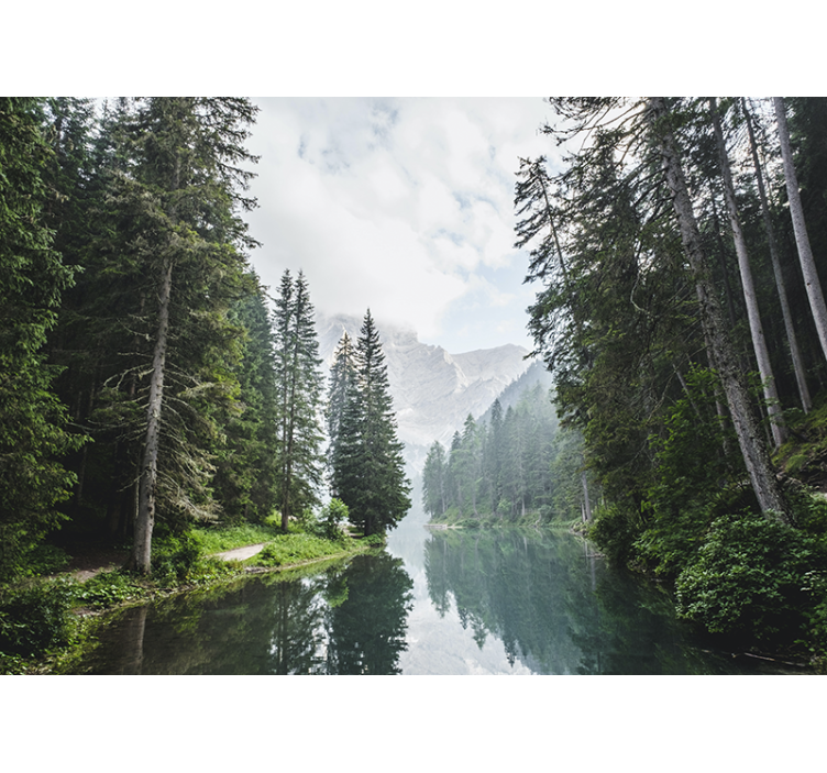 Fototapete landschaft ruhiger waldklang - TenStickers