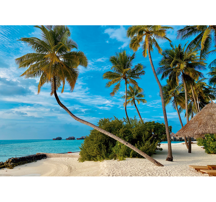 Fototapete natur tropisches palmenlandschaft - TenStickers