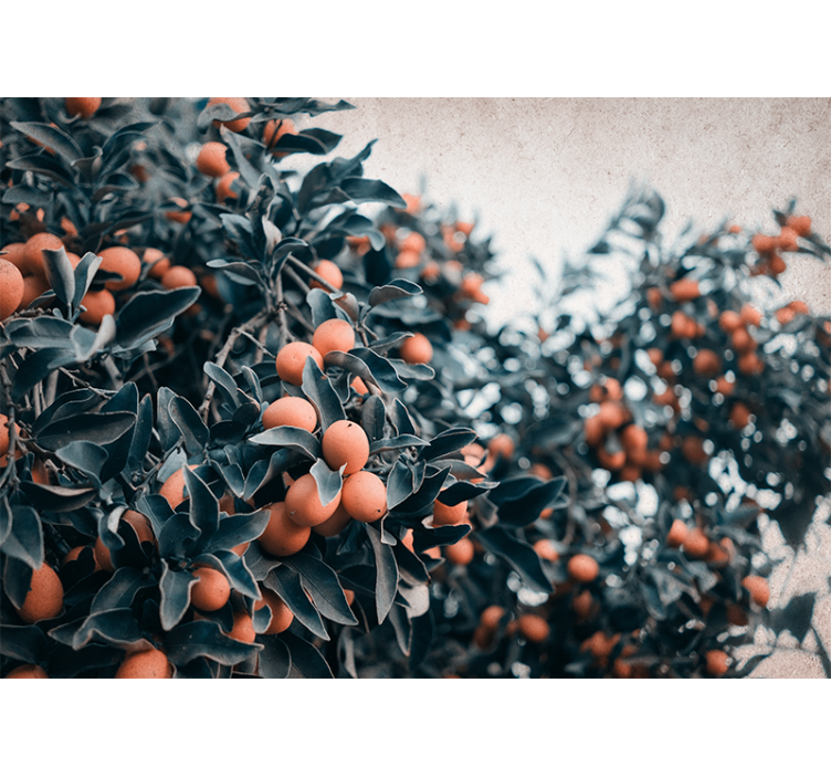 Fototapete blumen zitrusfruchtzweig - TenStickers