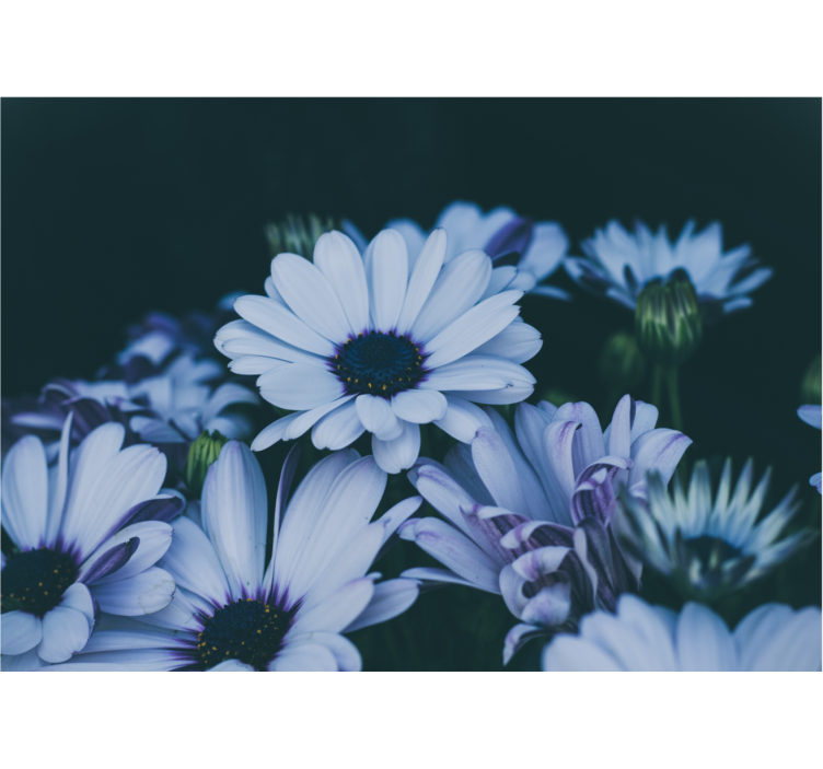 Fototapete blumen ruhiges florales arrangement - TenStickers