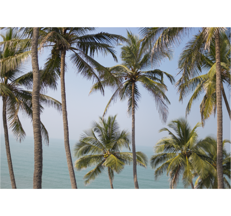 Fototapete wald mit palmenlandschaft - TenStickers