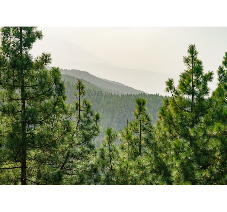 Fototapete natur üppige grüne landschaft - TenStickers