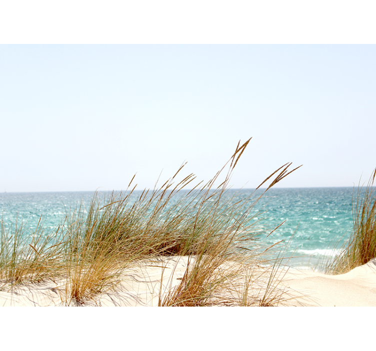 Fototapete wald ruhiger küstenblick - TenStickers