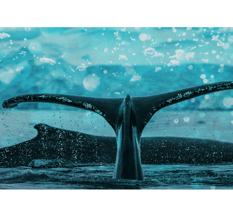 Fototapete tiere walfluke spritzer - TenStickers