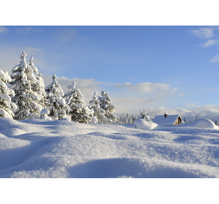 Fototapete landschaft winterlandschaft - TenStickers