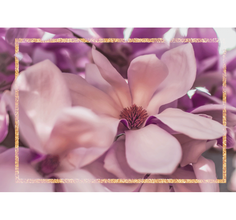 Fototapete blumen magnolienblüte nahaufnahme - TenStickers