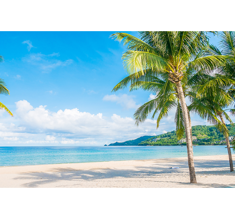 Fototapete natur tropisches uferparadies - TenStickers