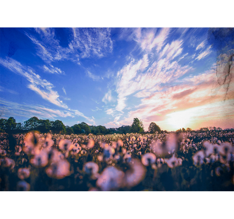 Fototapete blumen löwenzahnfeld ruhe - TenStickers