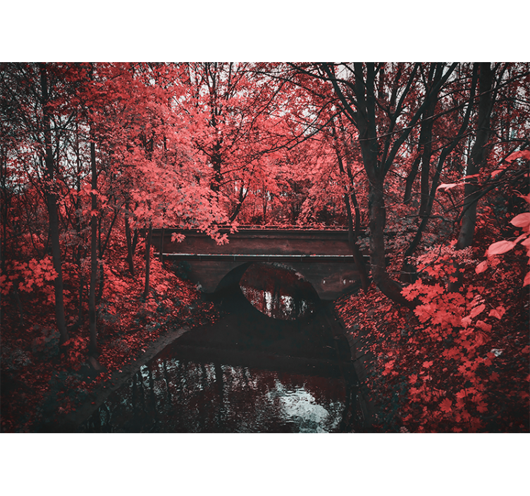 Fototapete natur roter blattwald - TenStickers