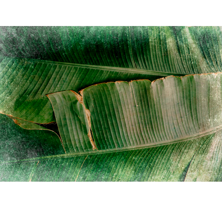 Fototapete natur mit lebendigem laub und tieren - TenStickers