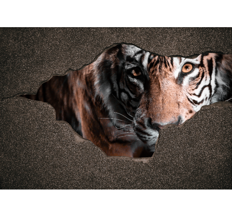 Fototapete tiere tiger nahaufnahme - TenStickers