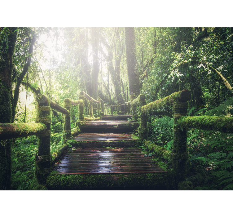 Fototapete wald lush woodland trail - TenStickers