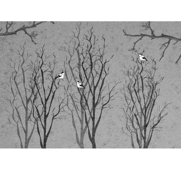 Fototapete baum Äste mit vögeln - TenStickers