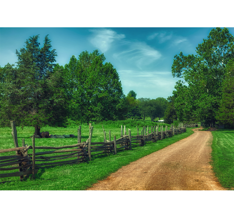 Fototapete landschaft lebendiger grüner weg - TenStickers