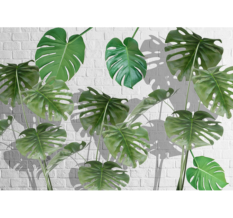 Fototapete wald mit monstera blatt arrangement - TenStickers