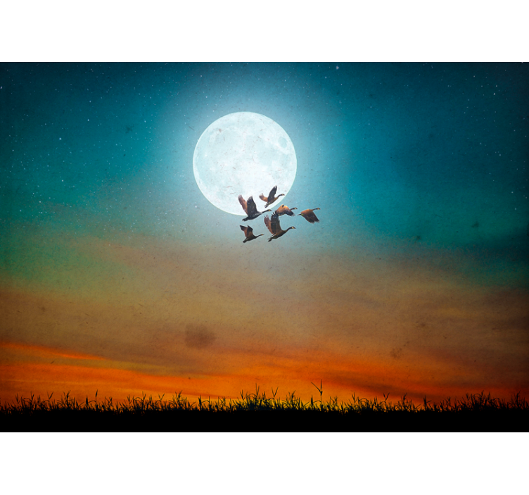 Fototapete natur mondlicht himmel flock - TenStickers