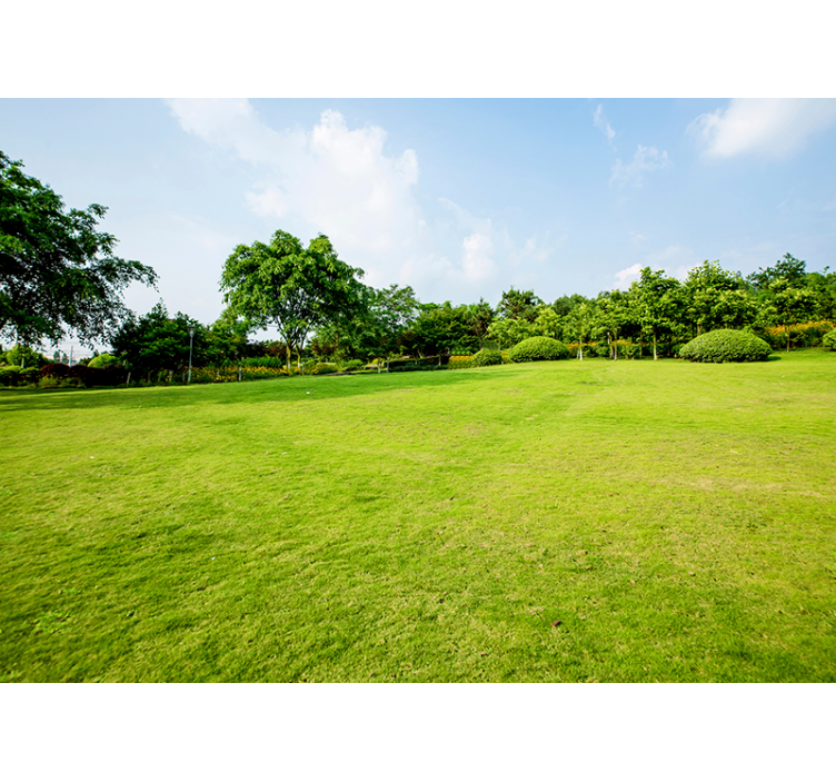 Fototapete Natur grüne Wiese - TenStickers