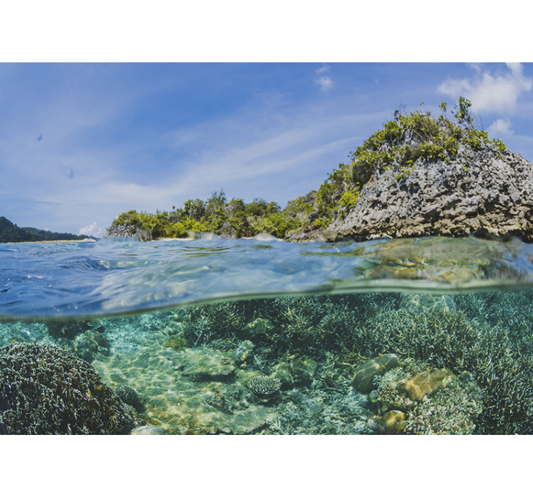 Fototapete Landschaft unterwasser-meereslandschaft - TenStickers