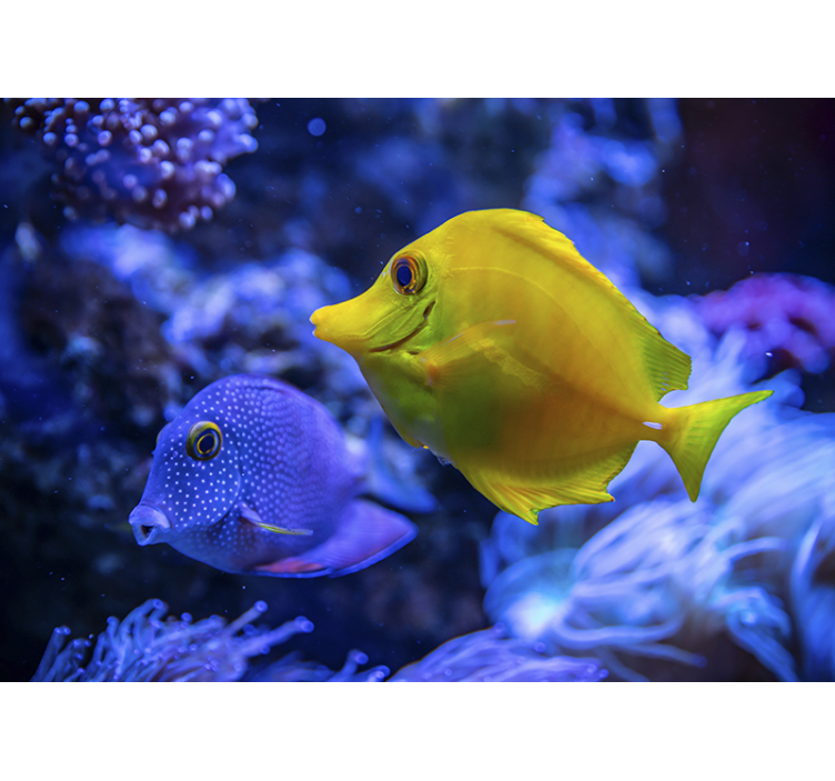 Fototapete Tiere wasserlebewesen-szene - TenStickers