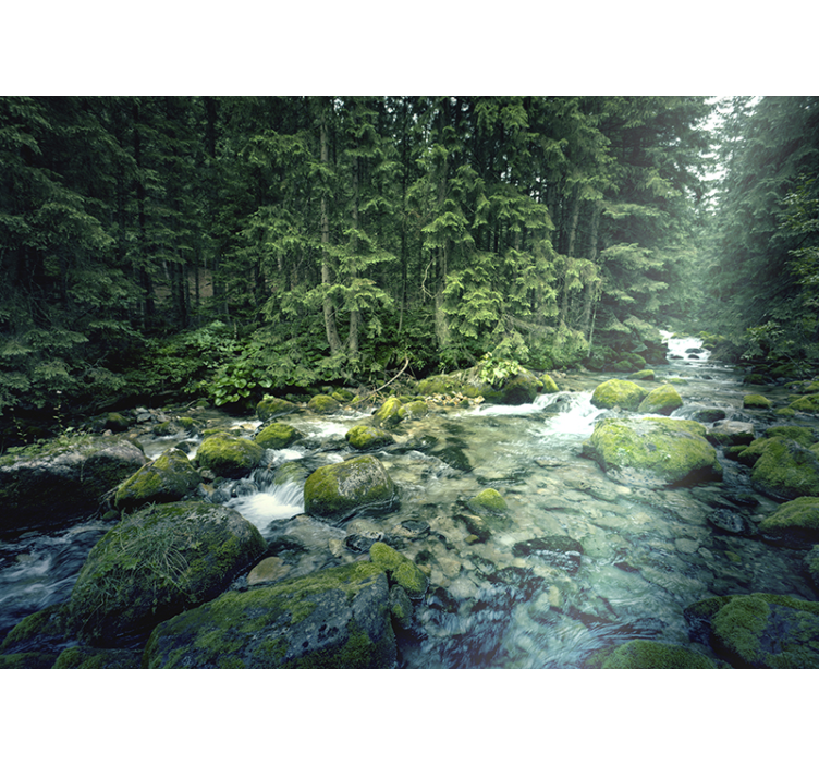 Fototapete landschaft ruhiger waldfluss - TenStickers