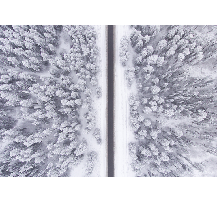 Fototapete Landschaft winterlicher waldweg - TenStickers