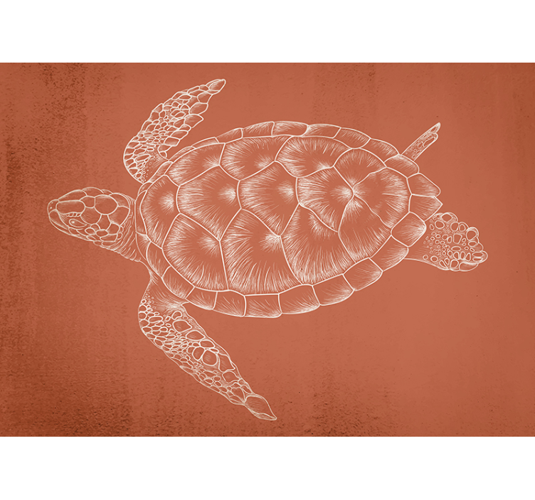 Fototapete tiere schildkröten illustration - TenStickers