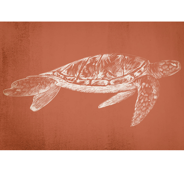 Fototapete tiere schildkröte elegant schwimmend - TenStickers