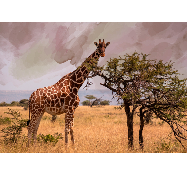 Fototapete Tiere giraffe in der natur - TenStickers