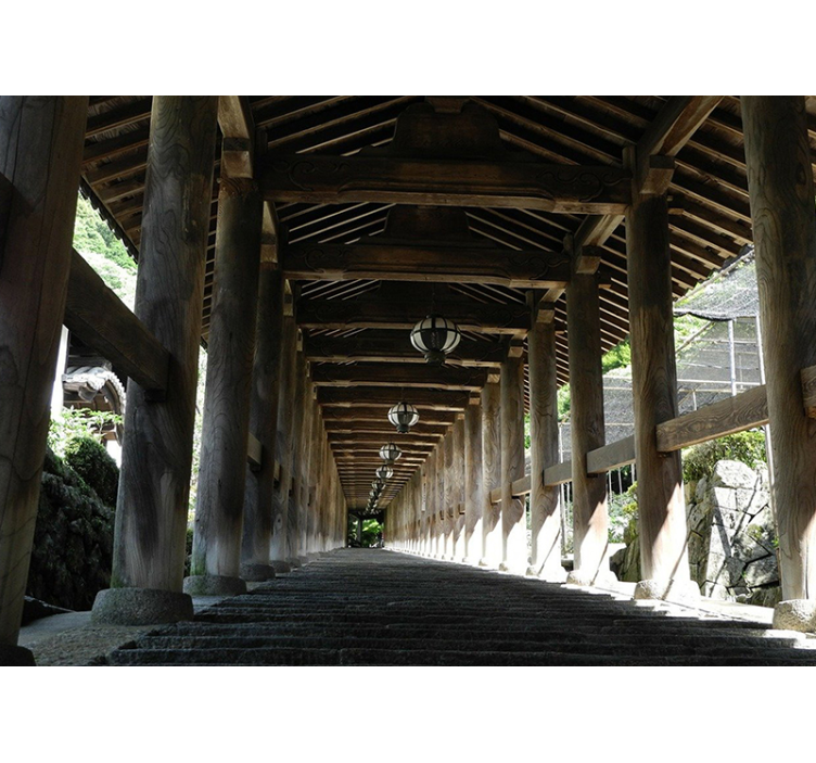 Fototapete wald mit blick auf einen holzweg - TenStickers